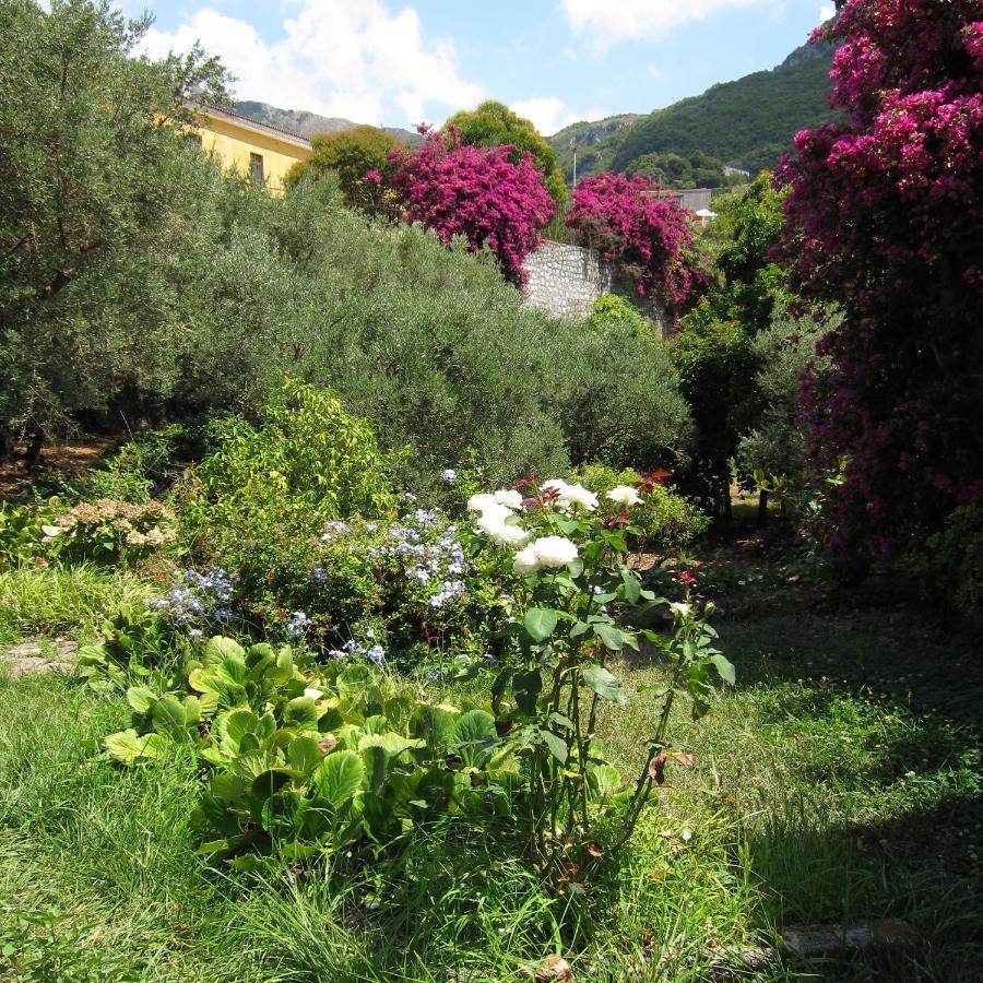 Casa Puccini B&B Маратея Экстерьер фото